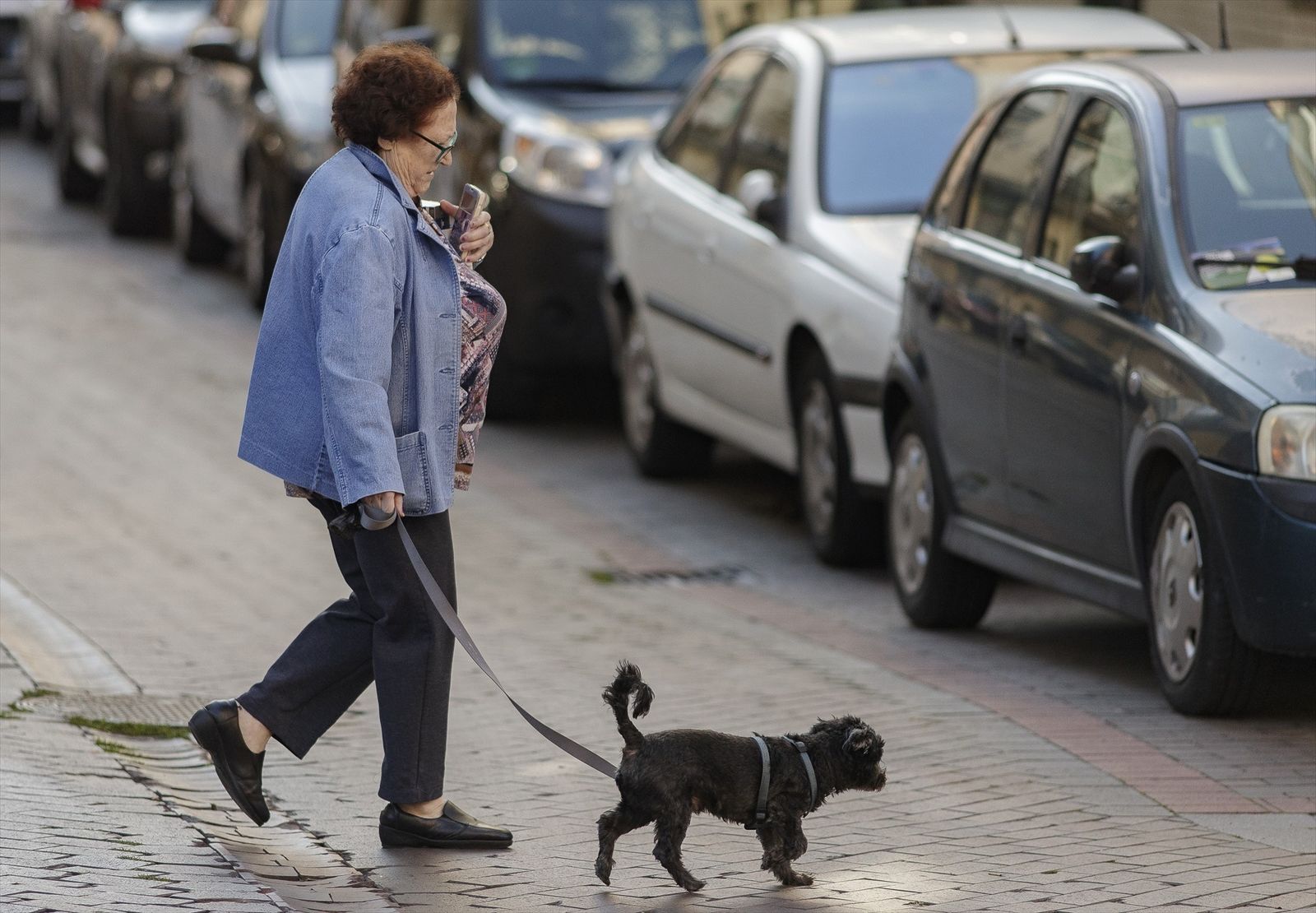 Una mujer pasea con su perro en una calle de Madrid