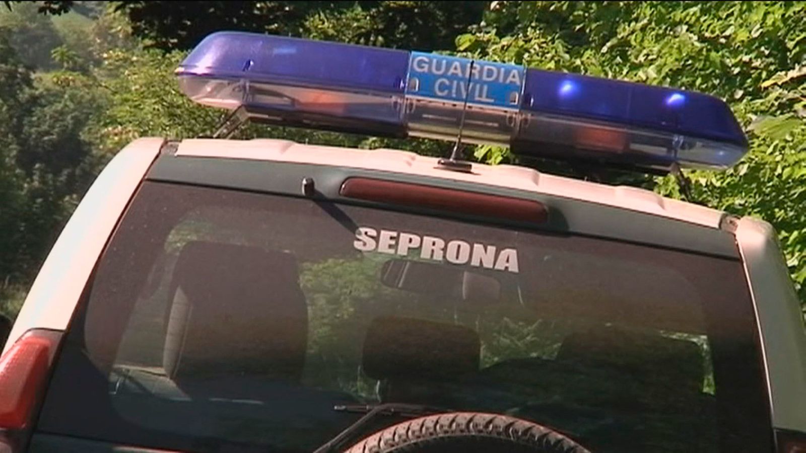 Seprona