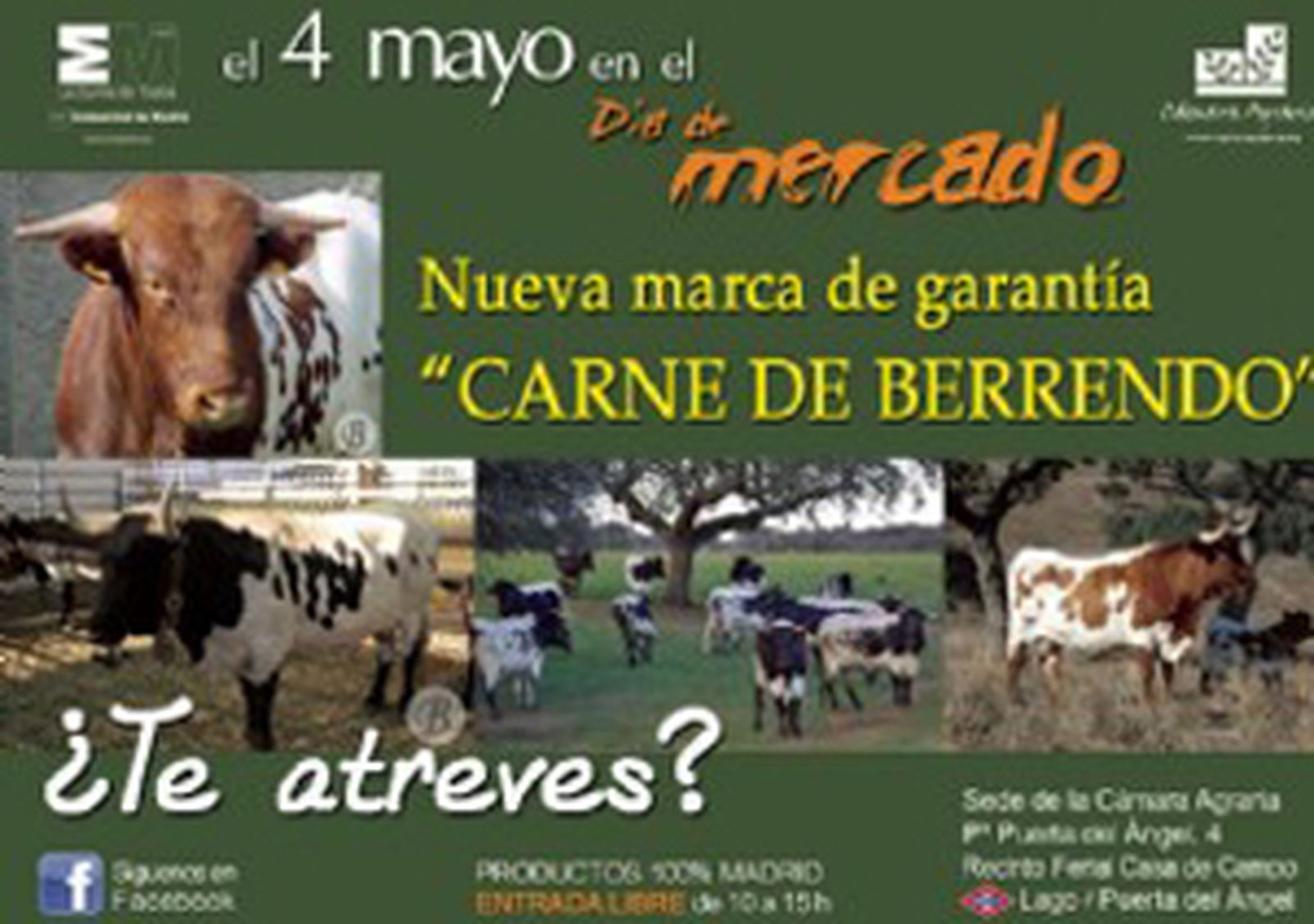 mercado_vacuno_madrid