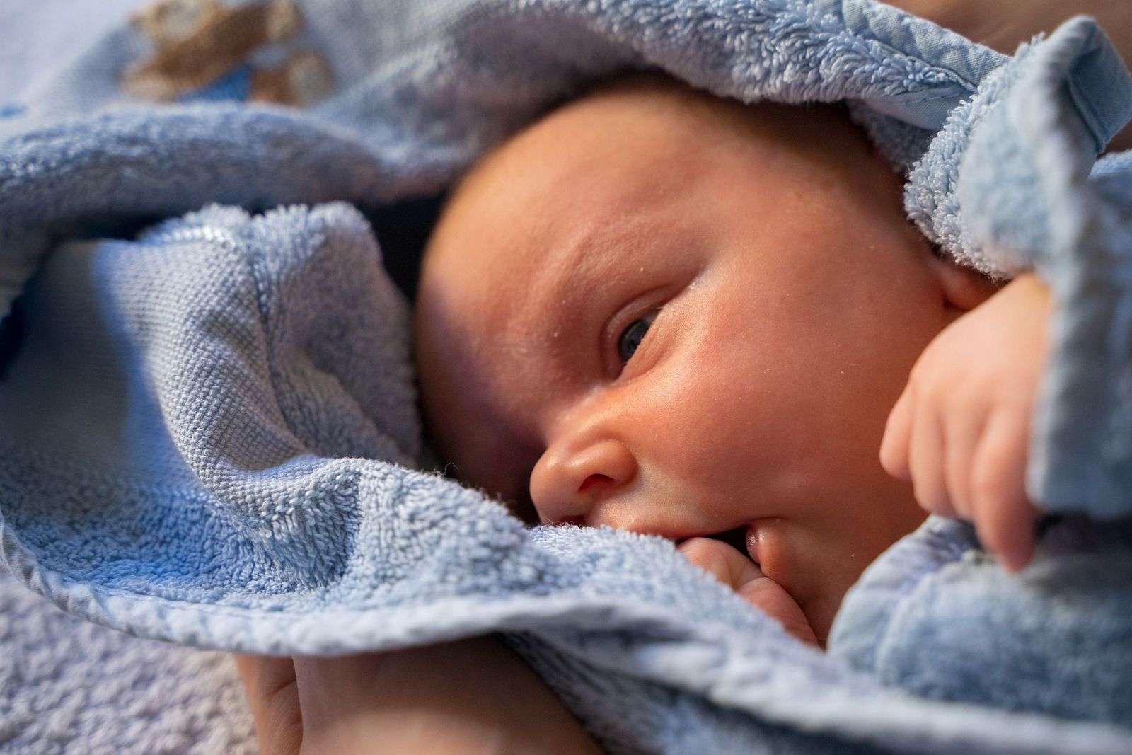 Una víctima de la estafa de los bebés 'reborn': "Pagué 560 euros por tres muñecos que nunca llegaron"
