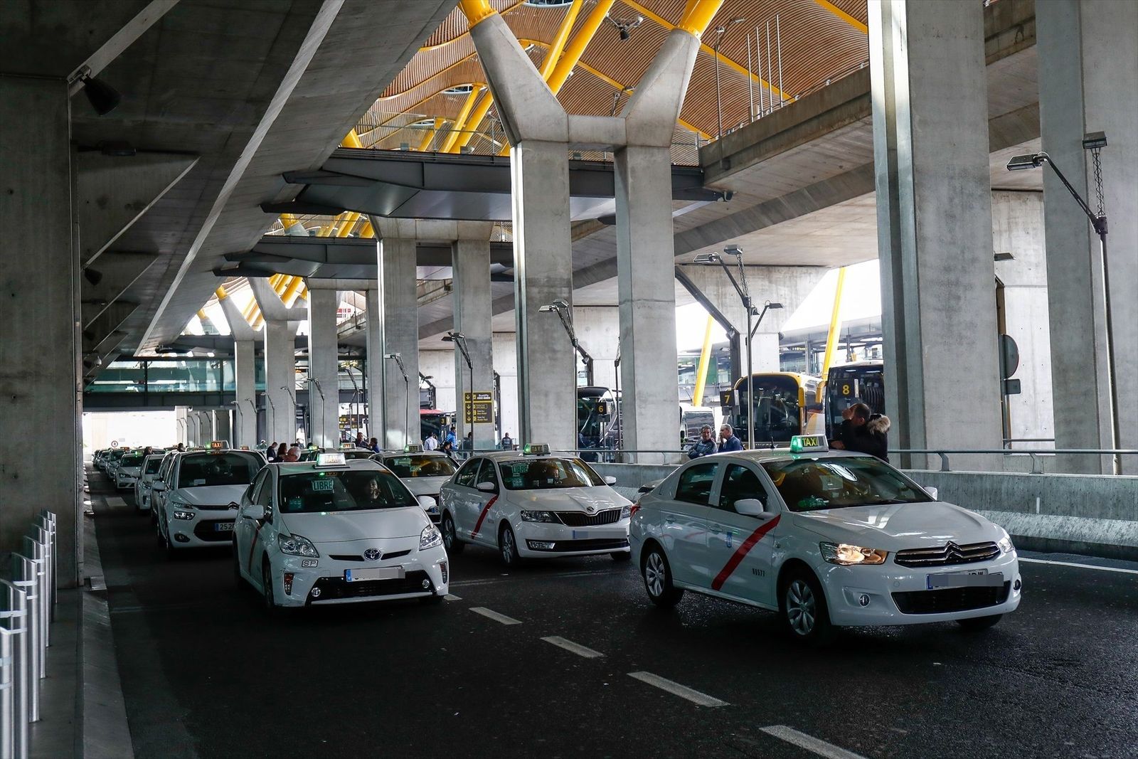 Reglamento del taxi: más ingresos y más puestos de trabajo