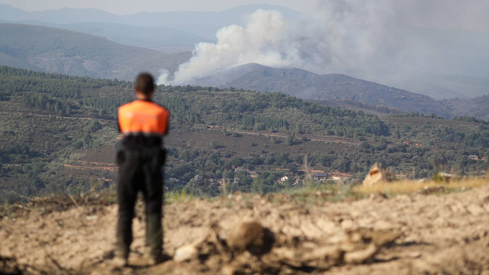 Un incendio forestal en Veguellina, León