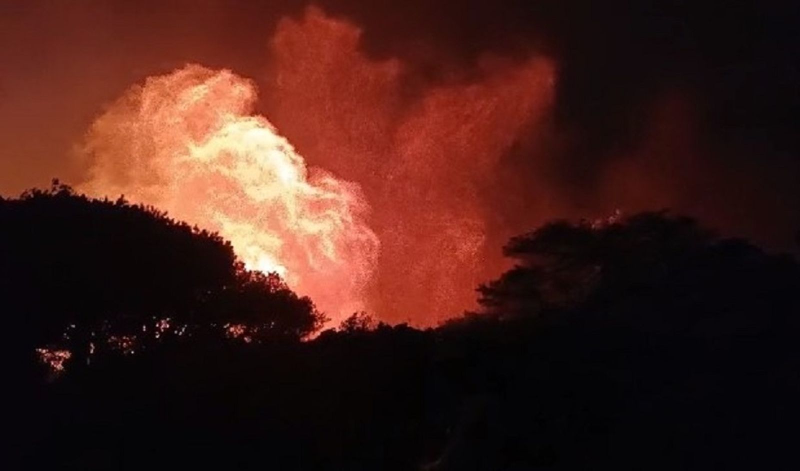 El incendio de Tarifa afecta ya a 50 hectáreas y sigue activo en nivel 1