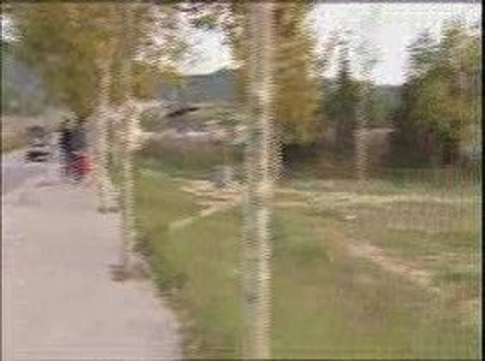 Muertosmataro_20101023V0.wmv