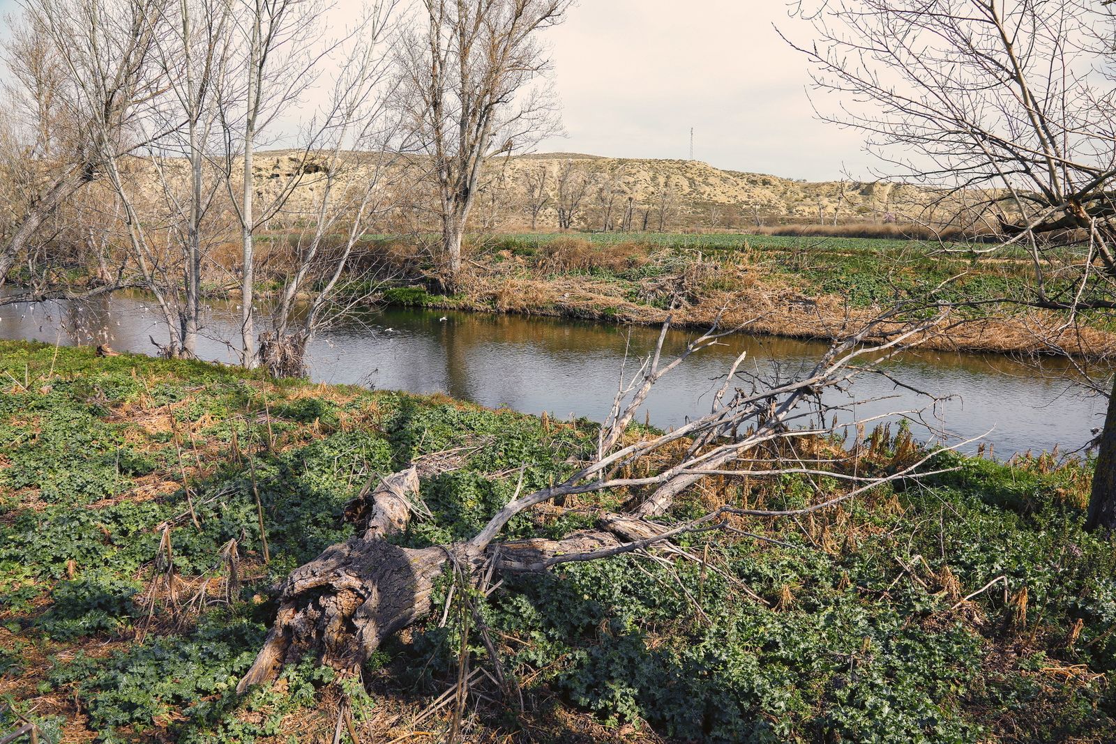 Río Manzanares