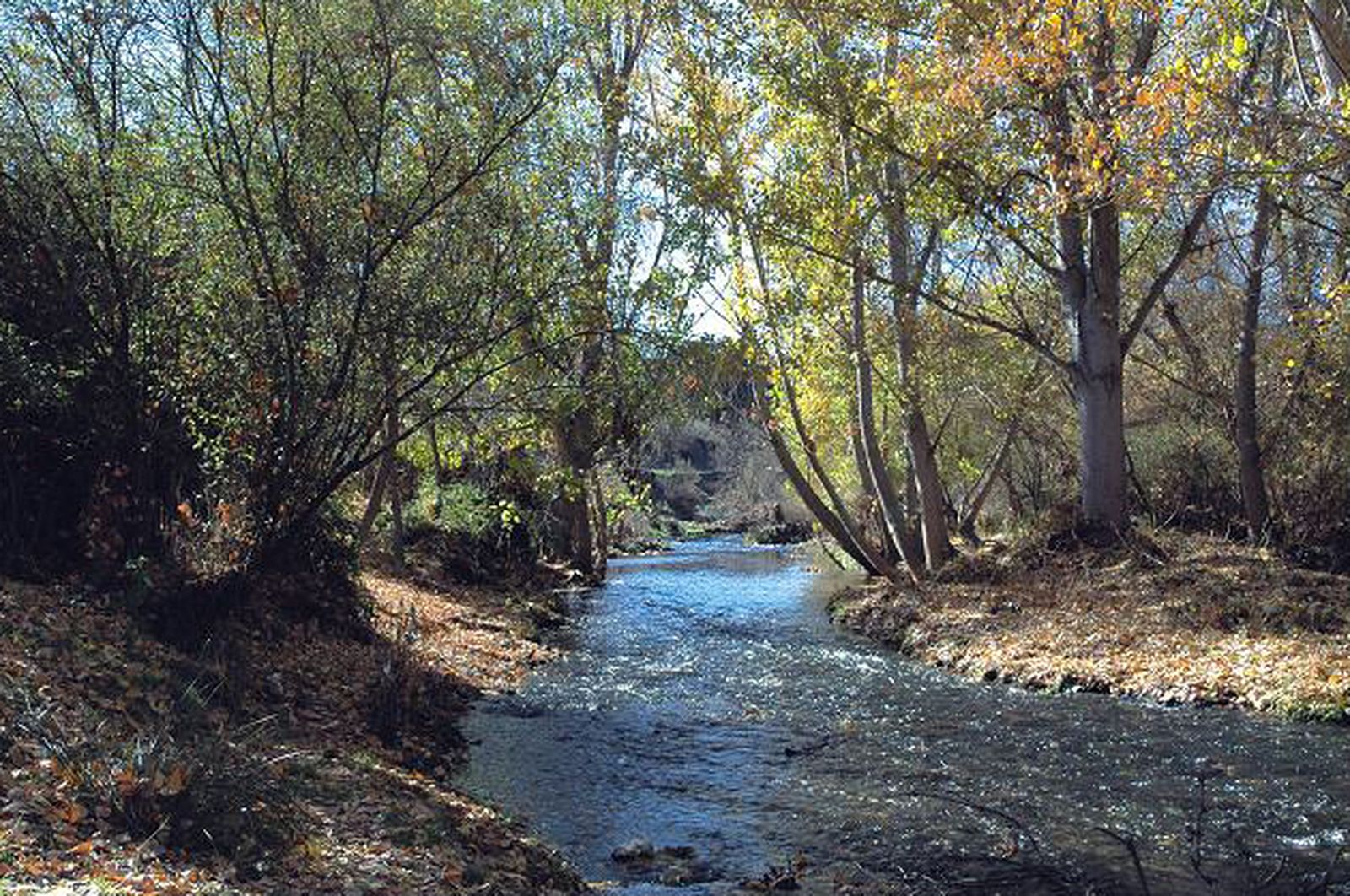 Entorno del río Guadarrama
