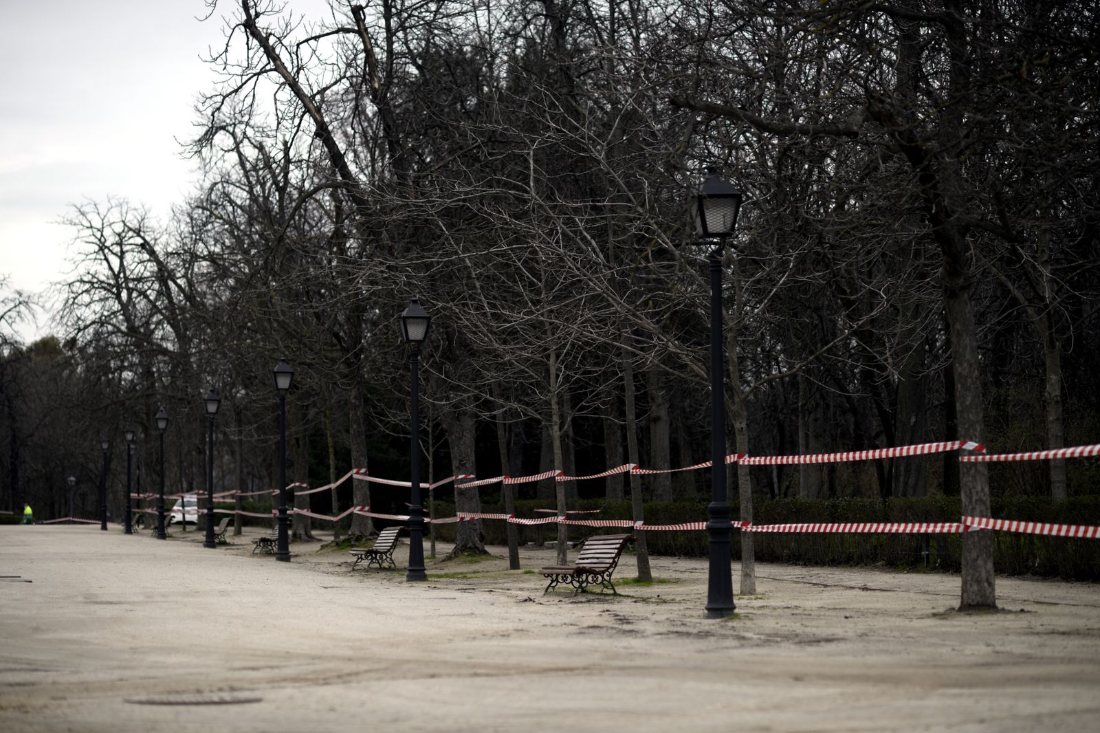 Imagen del parque de El Retiro tras su reapertura parcial por el paso de Filomena