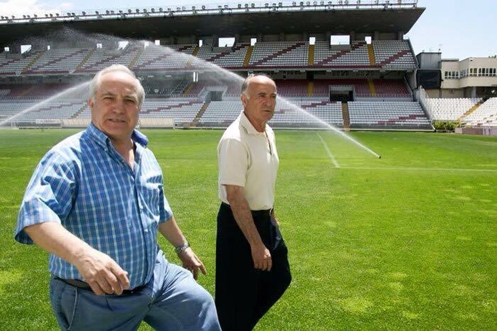 Potele y Felines