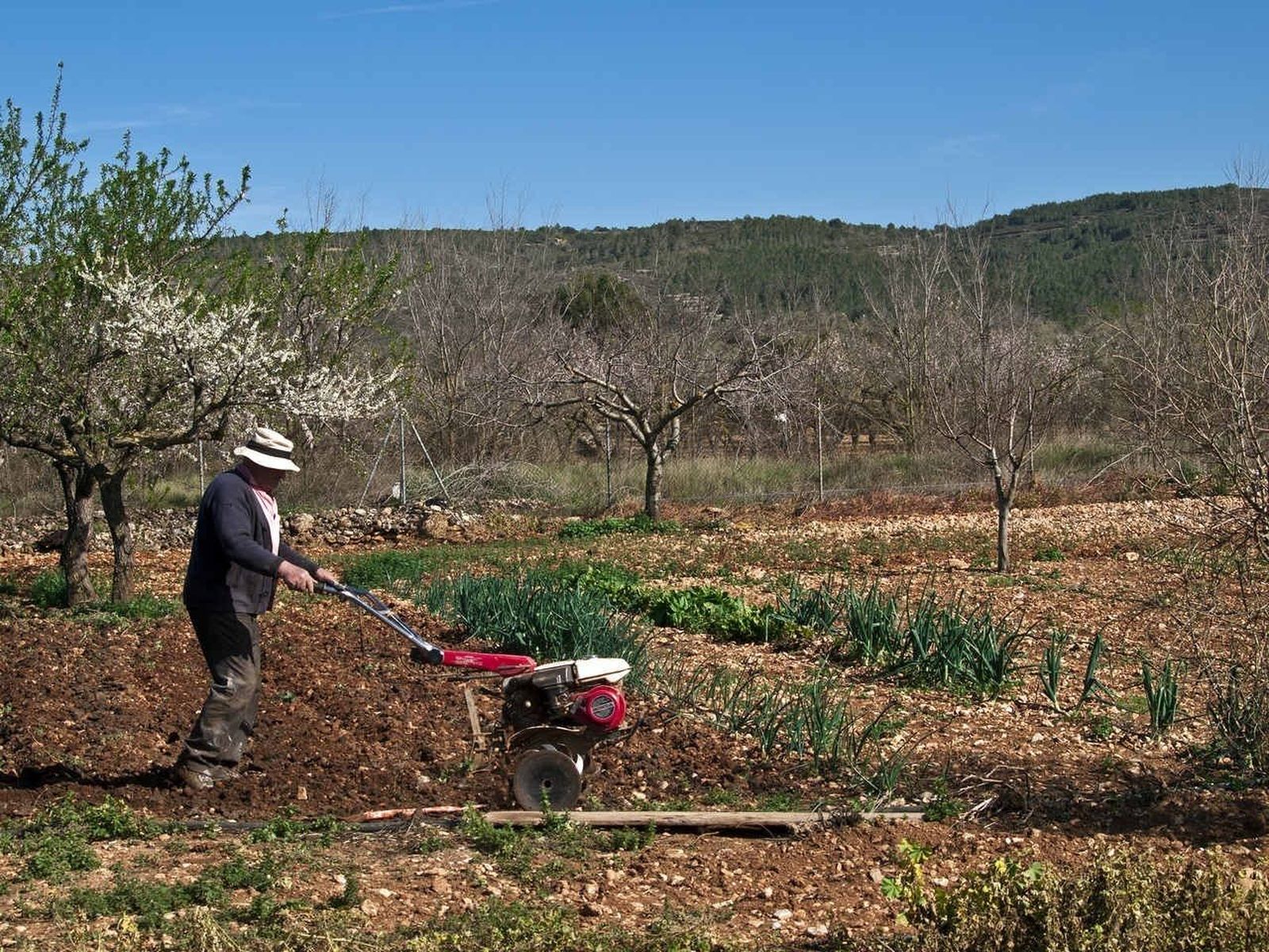 Los agricultores piden "buscar una solución entre todos" para rebajar los precios de alimentación