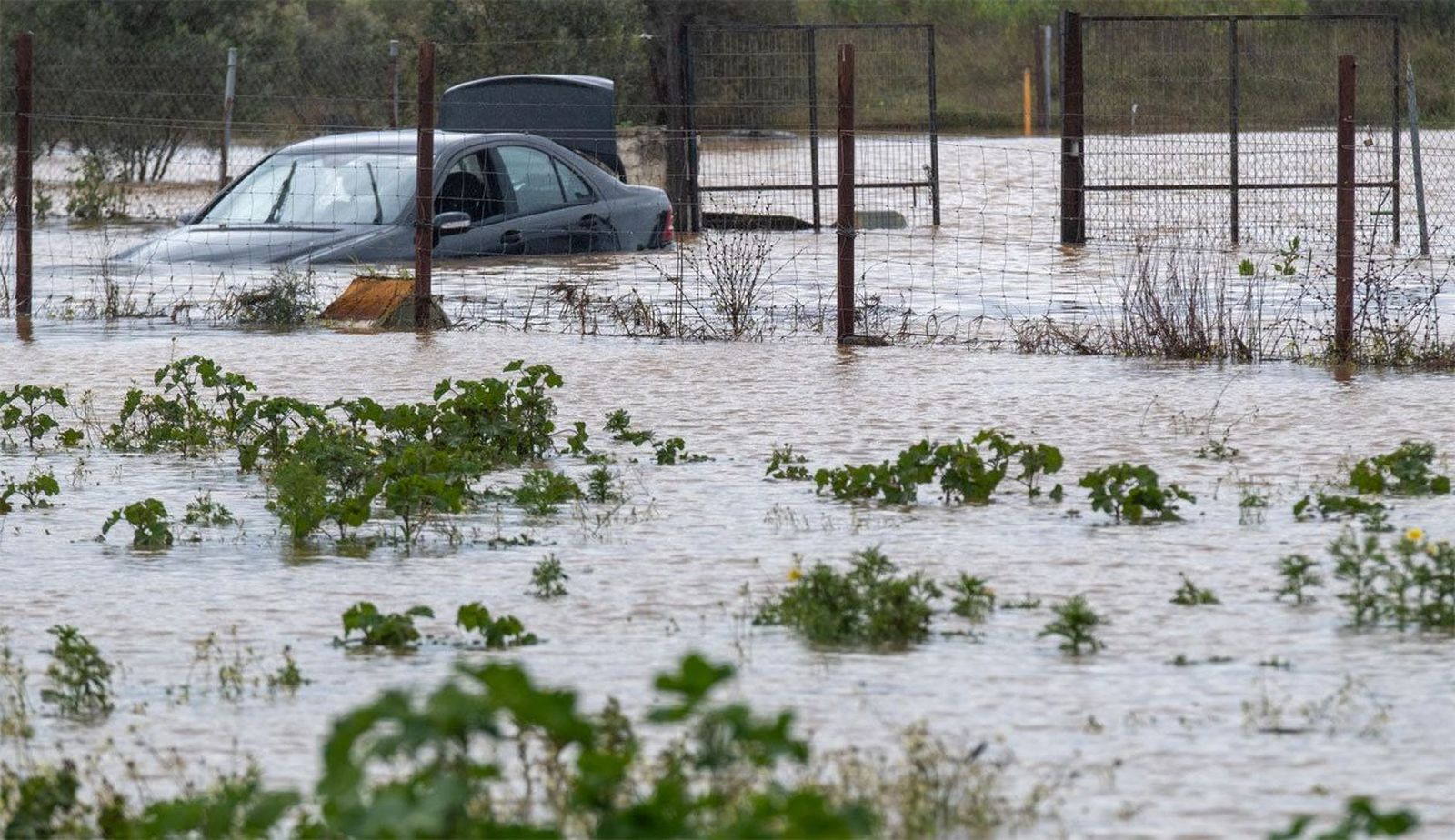 Desbordamientos, rescates y carreteras cortadas en Andalucía y Extremadura