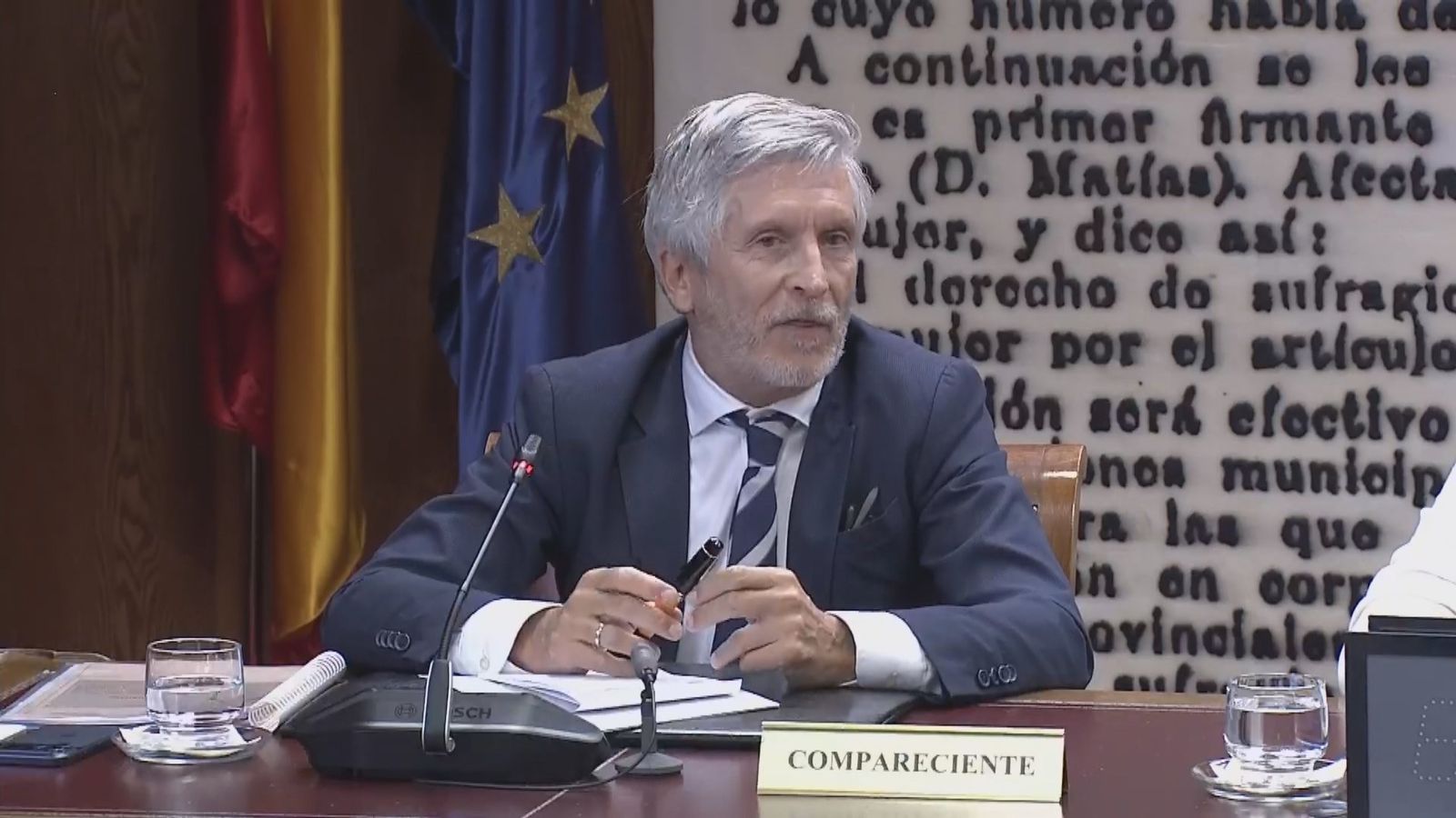 Fernando Grande-Marlaska en el Senado