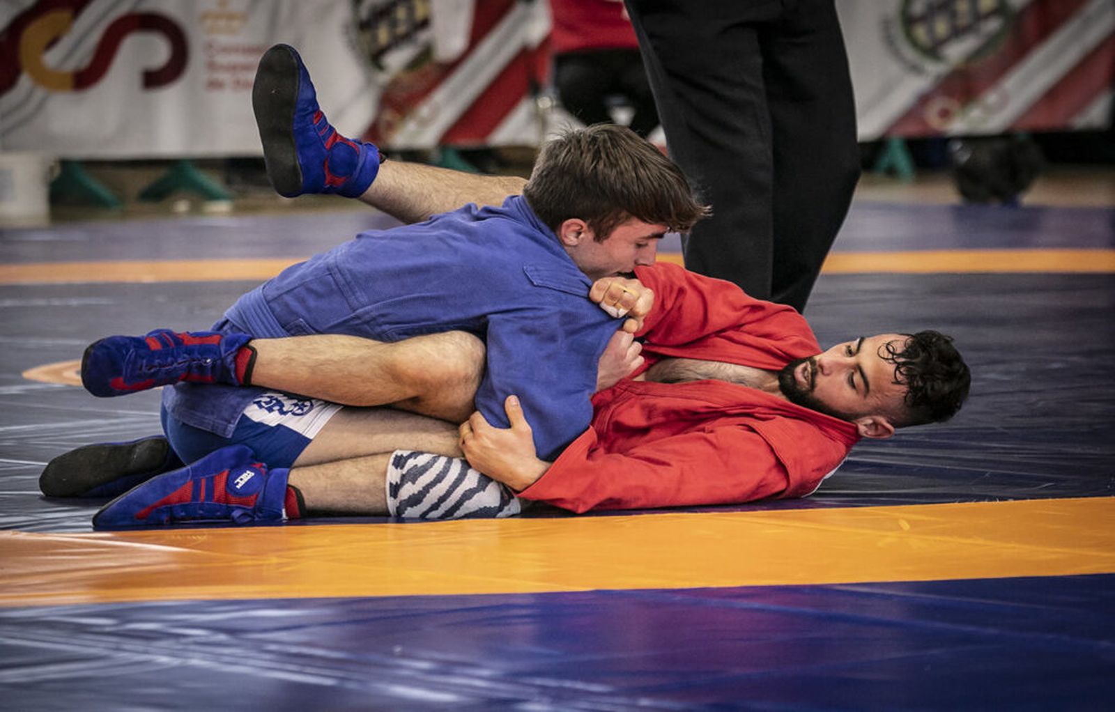 Lucha sambo