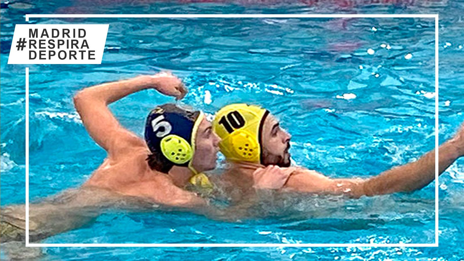 Waterpolo Brains