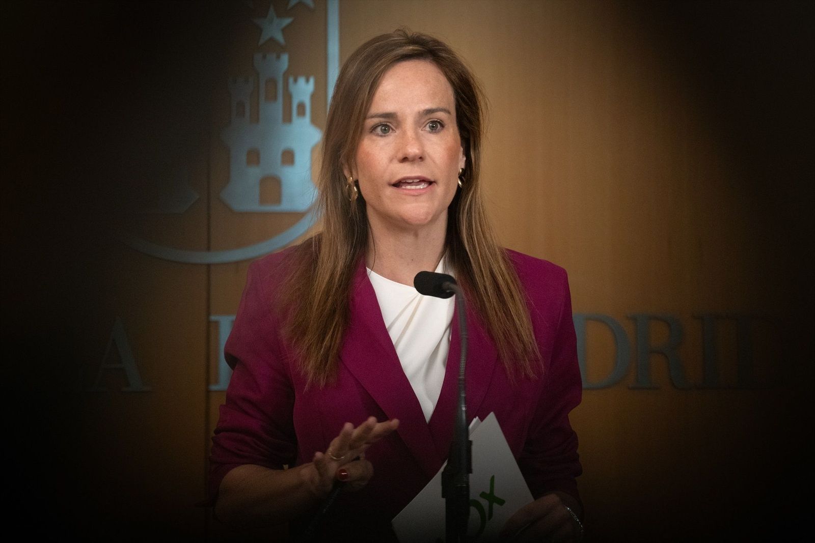 Vox acusa a Sánchez de "querer alterar el censo electoral" con las regularizaciones masivas y la 'ley de nietos'