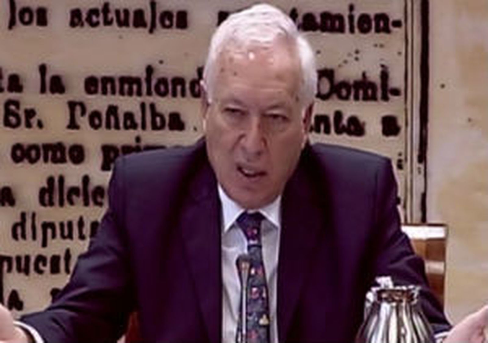 Comparecencia de Margallo en el Senado
