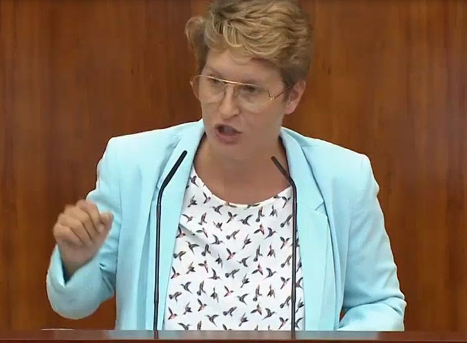 Graves descalificaciones en el Pleno de la Asamblea de Madrid