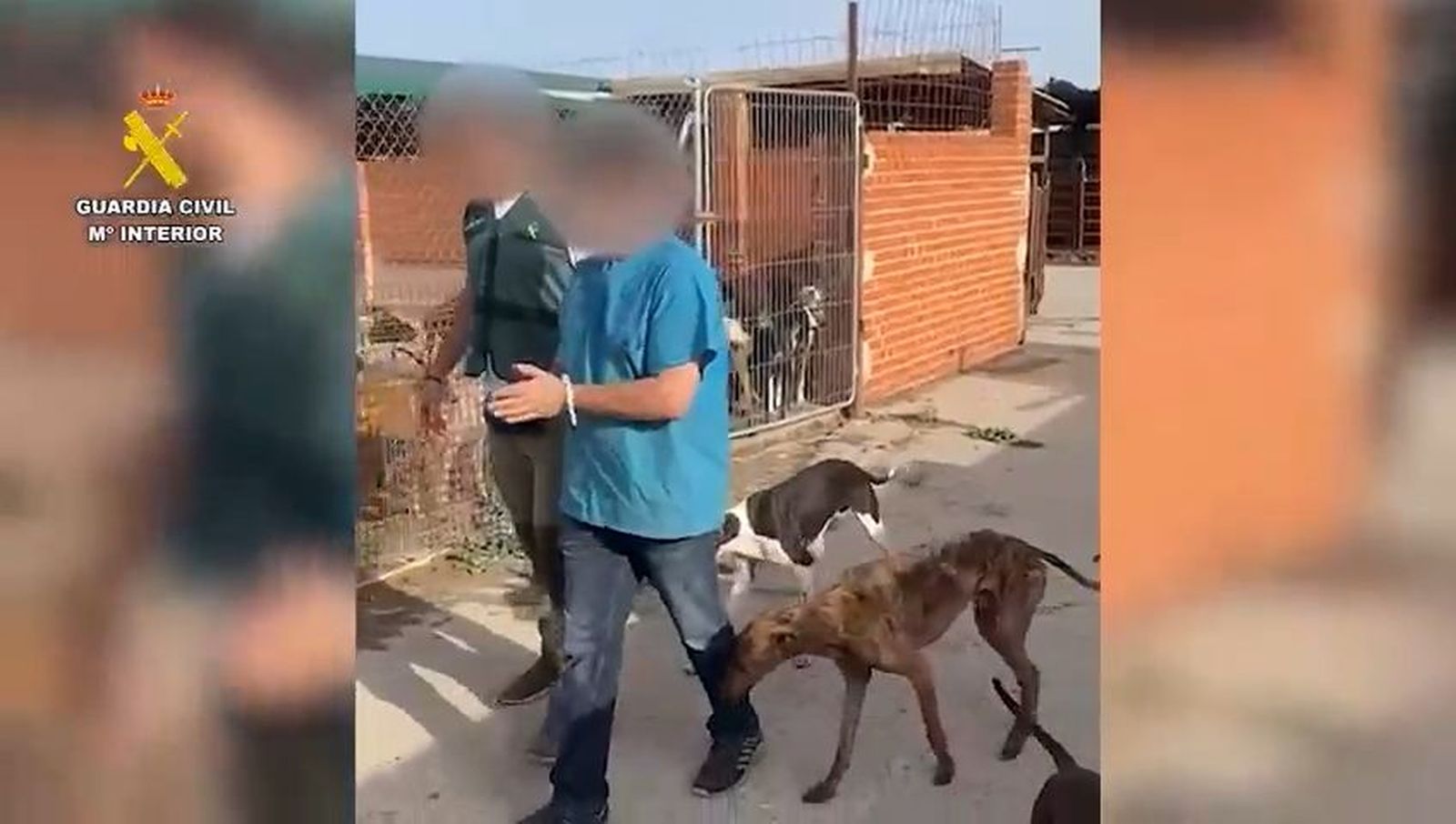 Maltrato animal en Cadalso de los Vidrios
