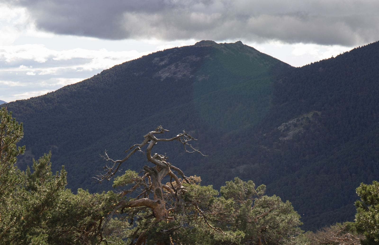Pico de la Peñota desde la Senda de los Poetas, en Cercedilla