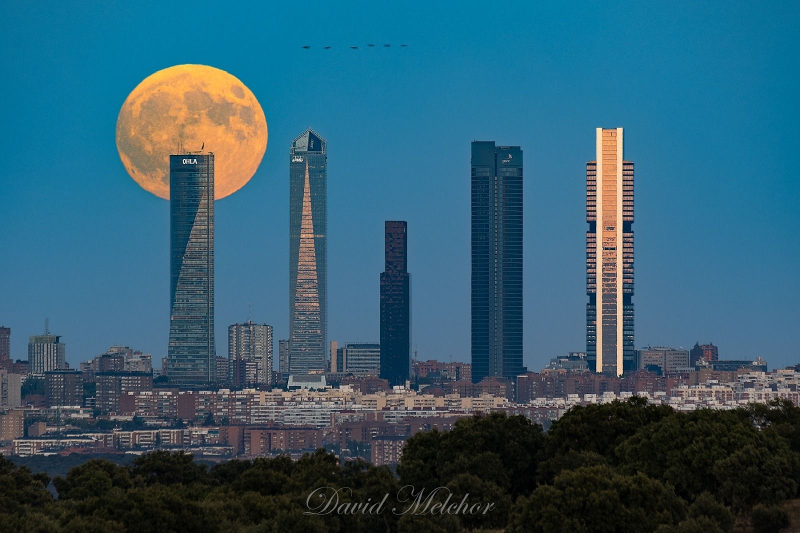 David - Las Rozas