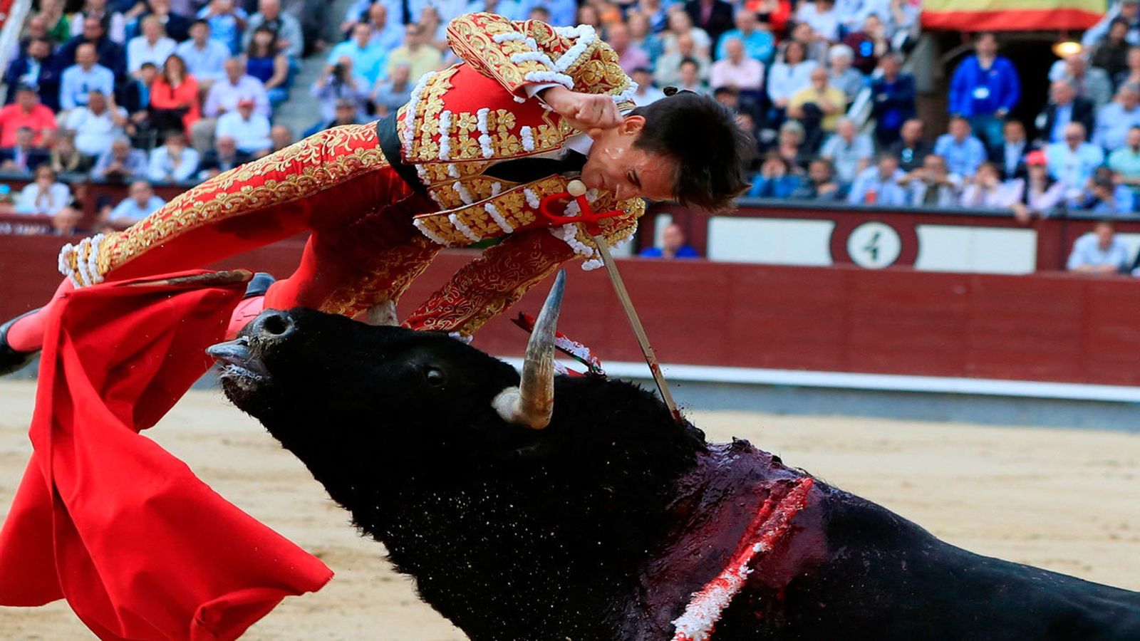 Gonzalo Caballero herido al entrar a matar en Las Ventas