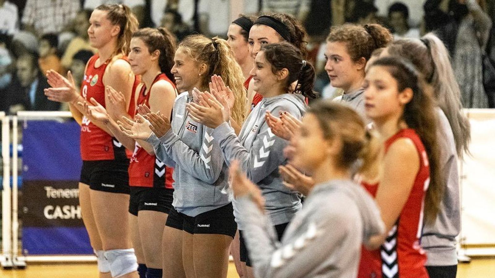 Feel Volley Alcobendas