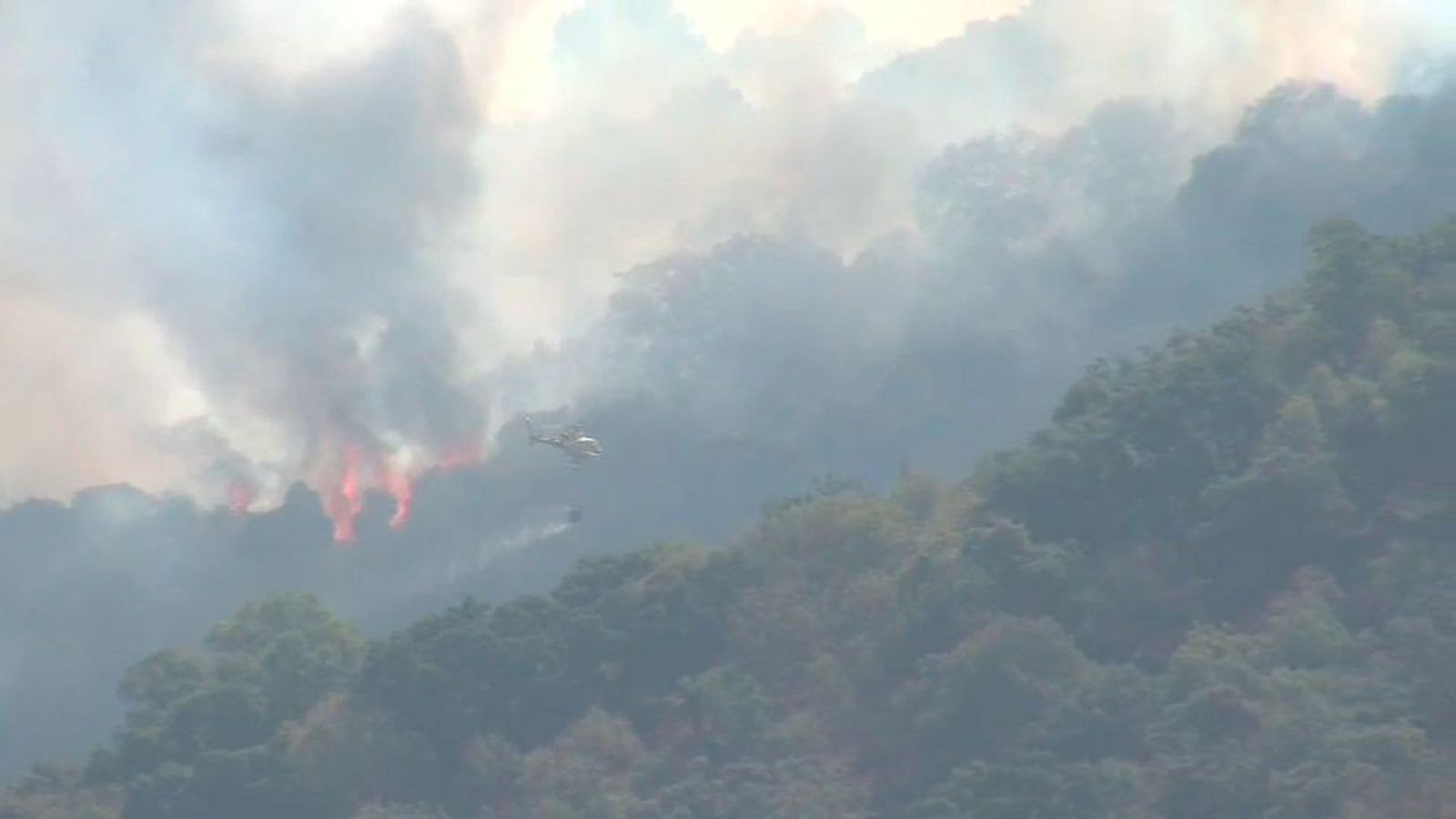 Bomberos de Alemania y Francia se unen a las tareas de extinción en Extremadura