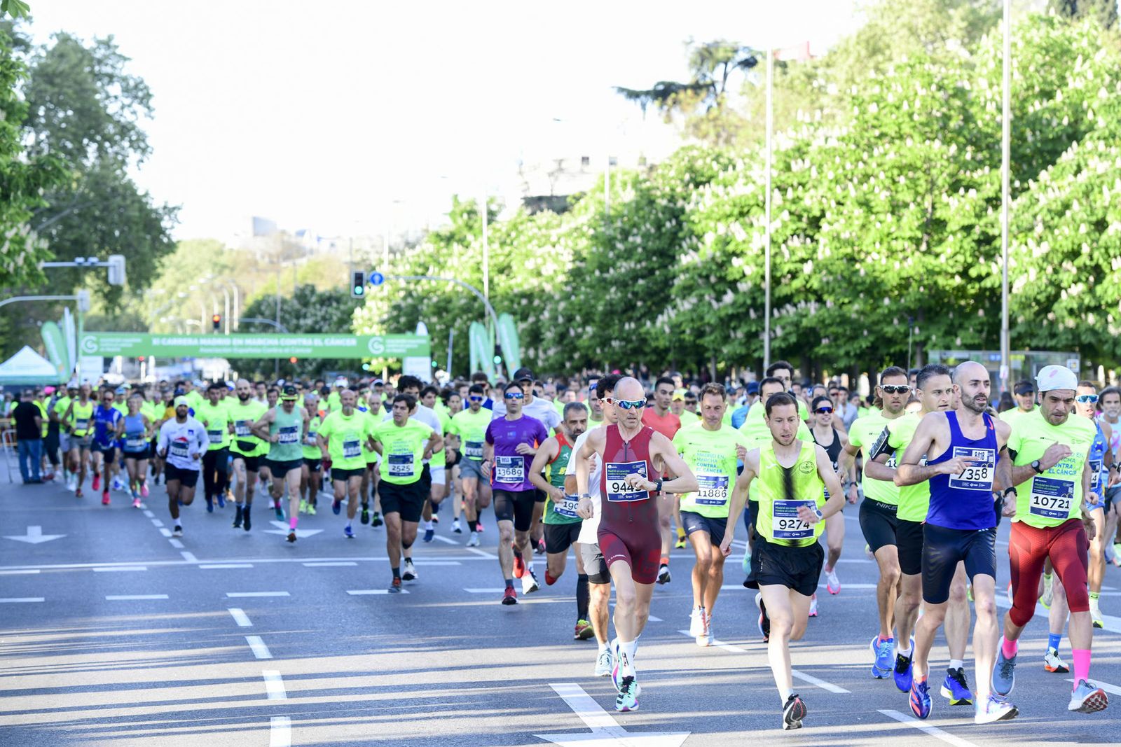 Carrera contra el cáncer
