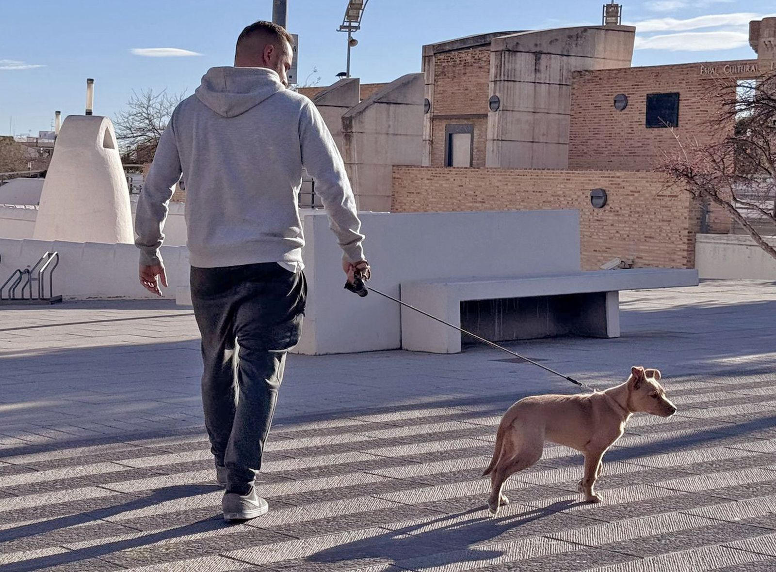 Los animales domésticos podrán entrar a los cementerios municipales, siempre que vayan debidamente atados y controlados por su propietario