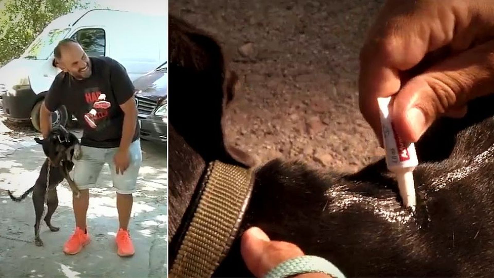 Un policía nacional lleva 6 años rescatando animales en la Cañada Real