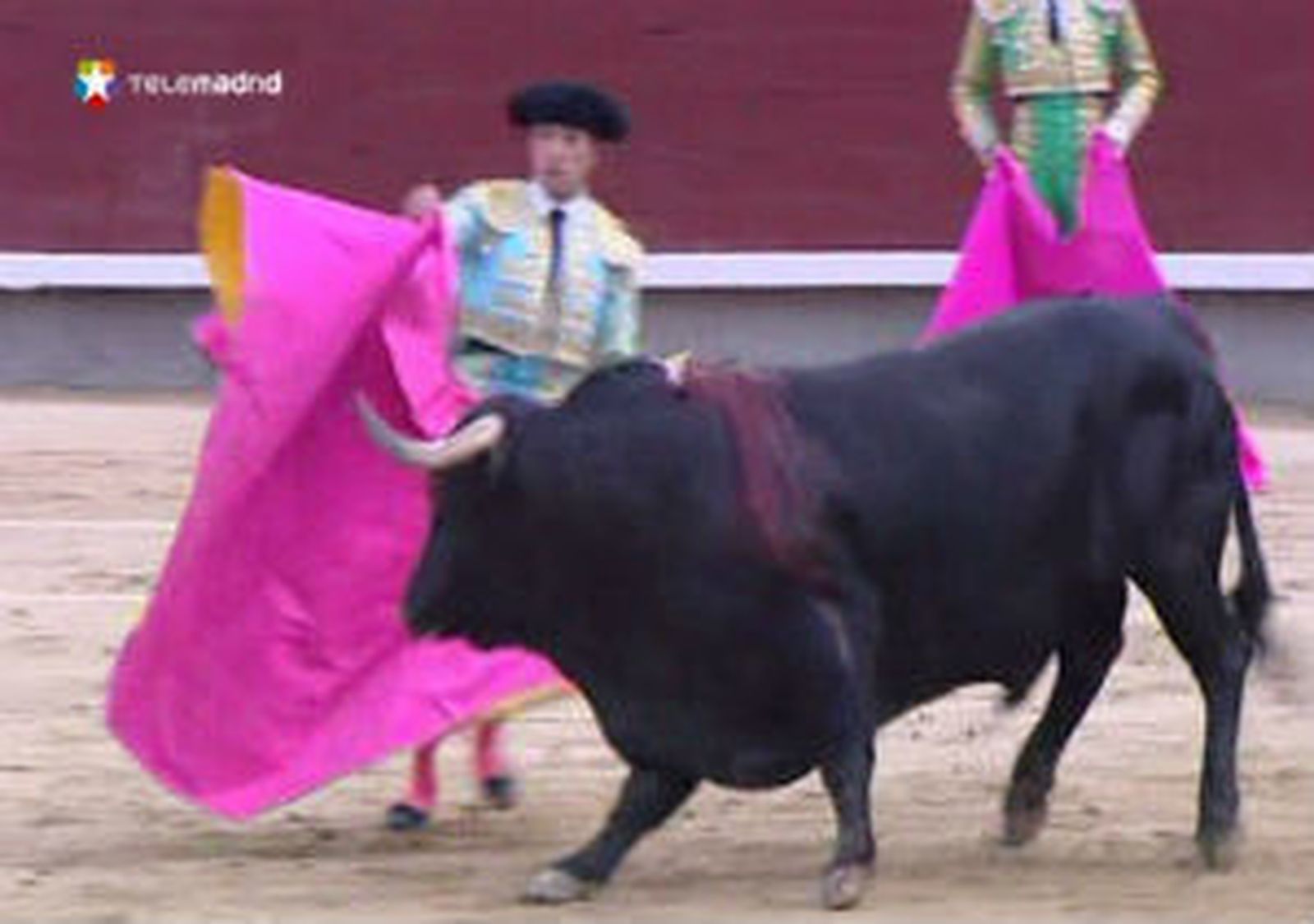 El Tribunal Superior de Madrid avala la declaración de los toros como Bien de Interés Cultural
