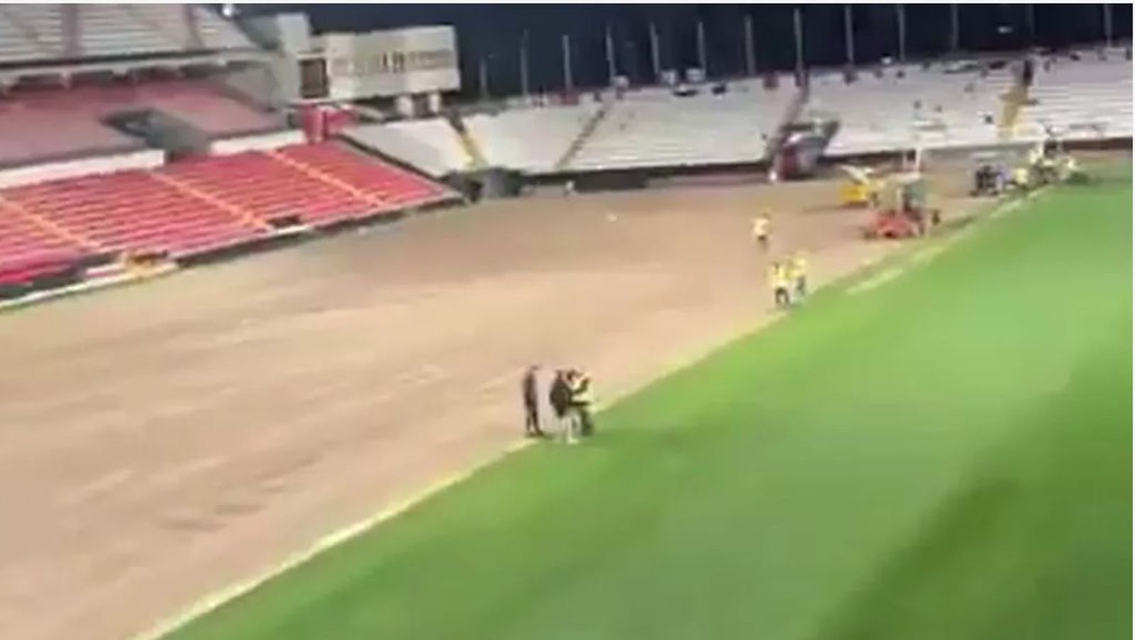 Césped del estadio de Vallecas