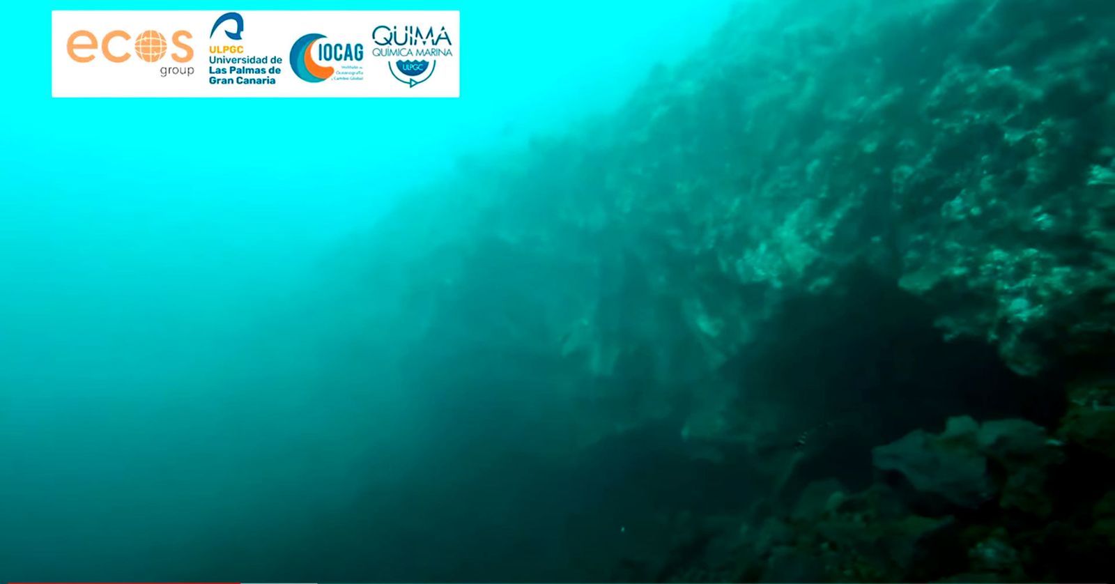 La Universidad de Las Palmas de Gran Canaria consigue las primeras imágenes submarinas del delta lávico de La Palma
