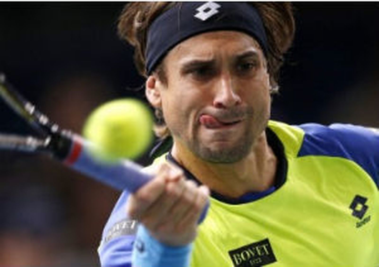 David Ferrer