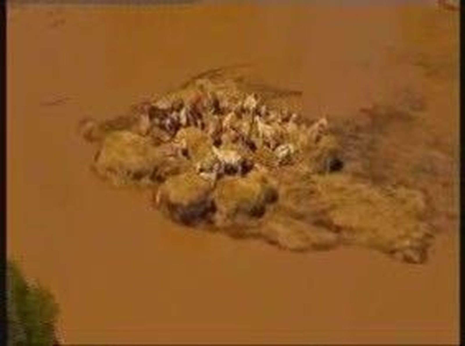 8australia_201113V0.wmv
