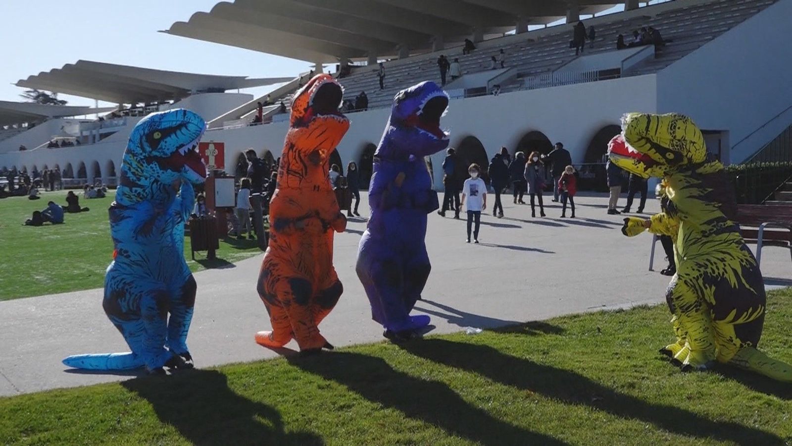 El ambiente navideño es el protagonista en el Hipódromo de la Zarzuela