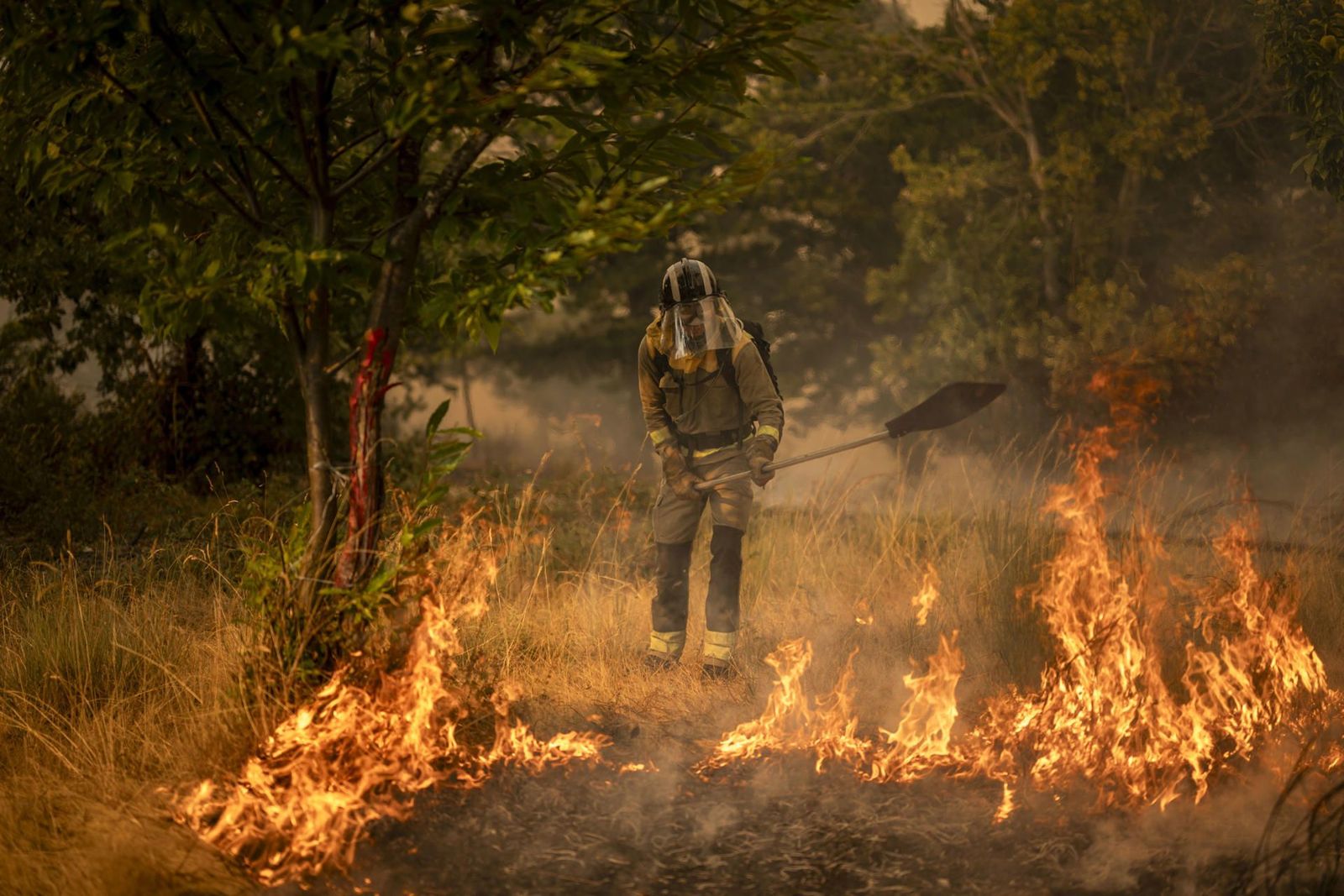 Las causas de tantos incendios forestales... más allá del cambio climático