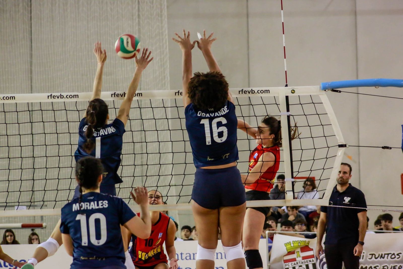 Voleibol Madrid