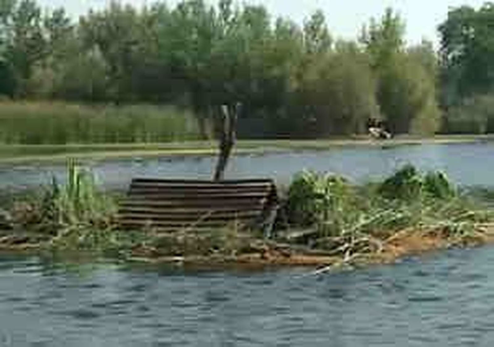 islaartificial_2011628V0.wmv