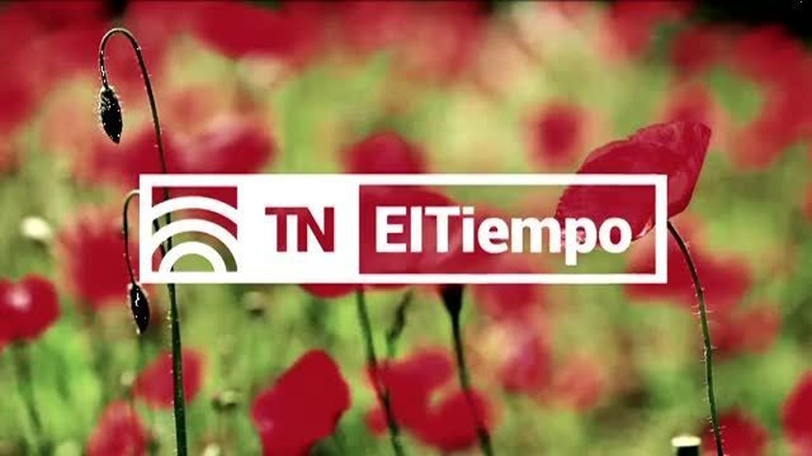 El Tiempo 1 03.08.2018