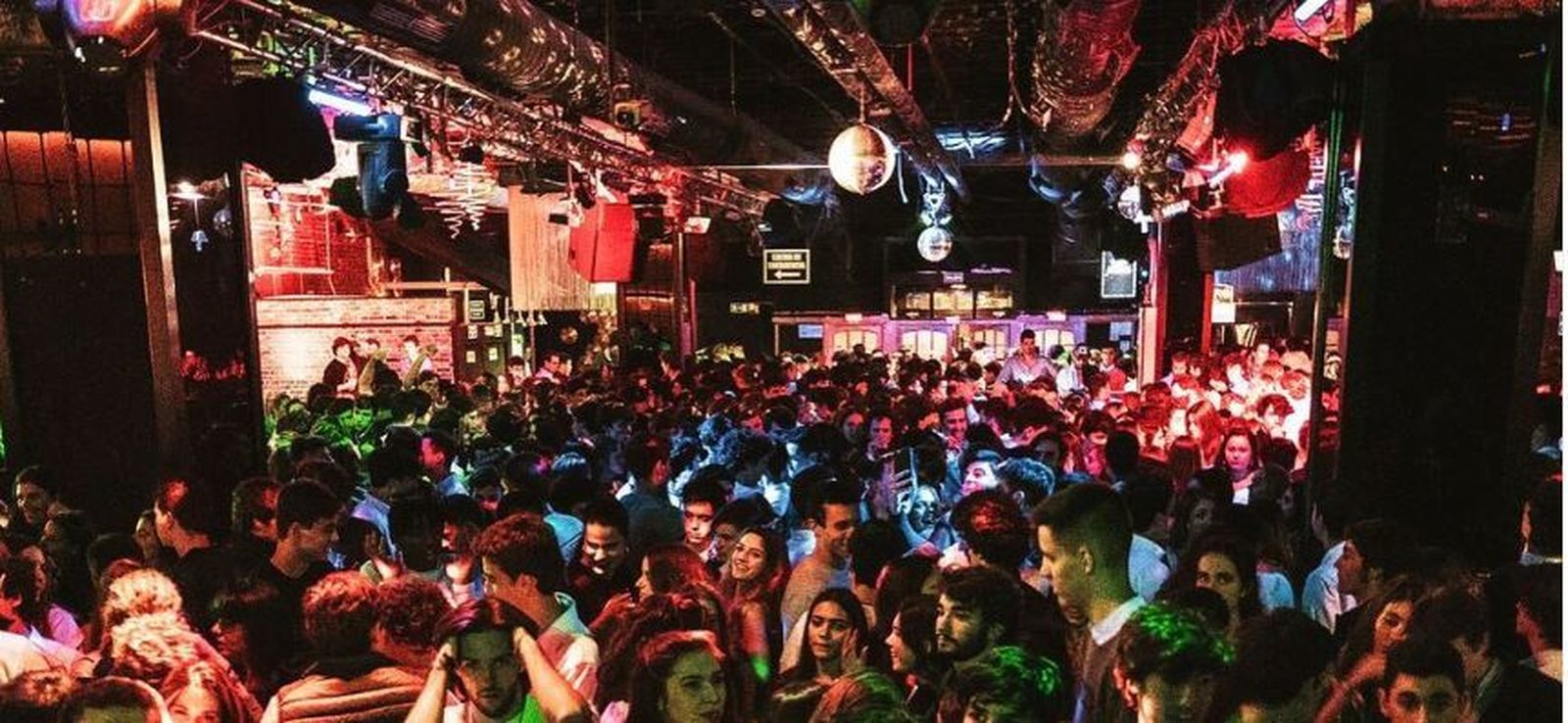 Discoteca cats