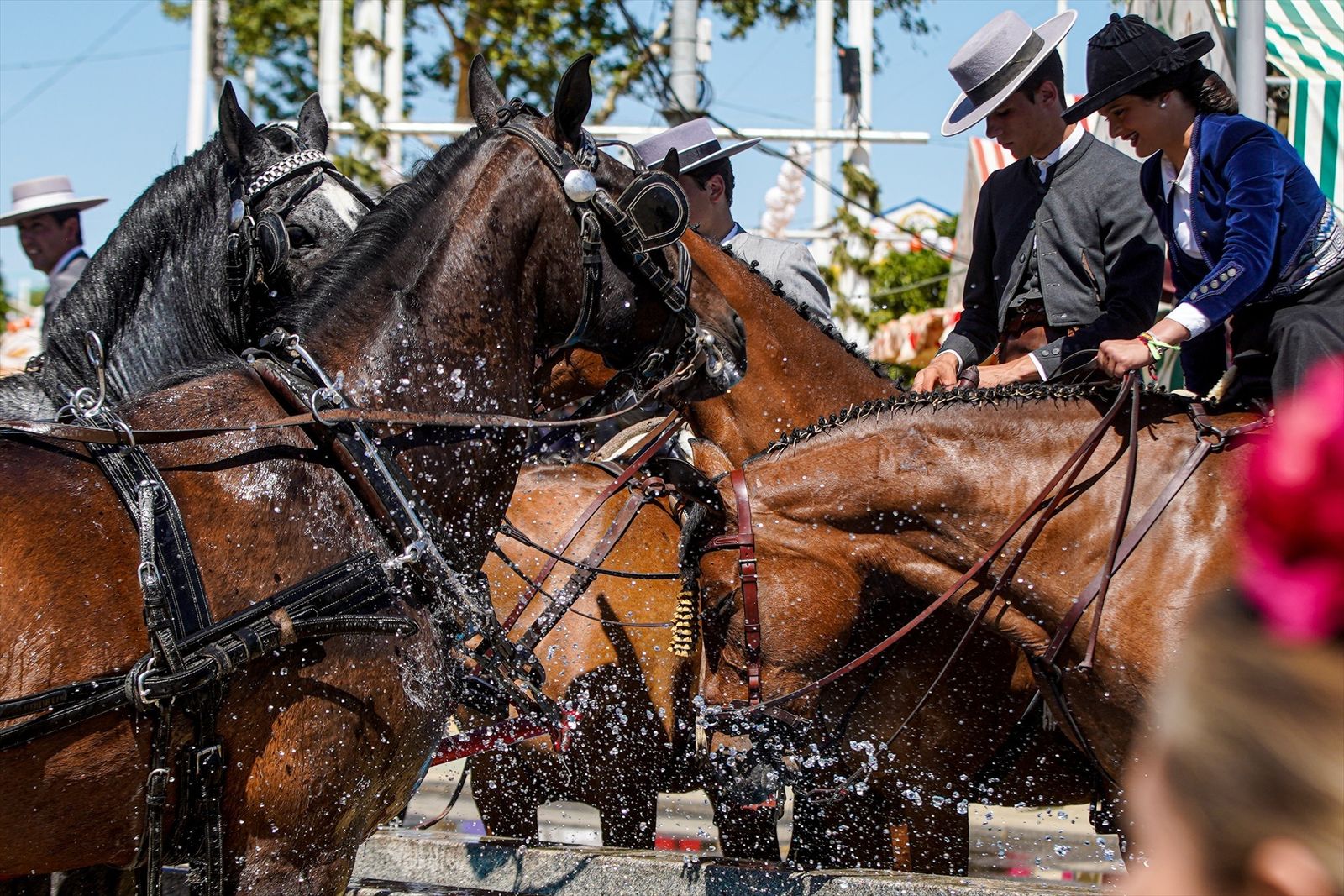 Un incendio obliga a evacuar las cuadras anexas a la Feria de Sevilla