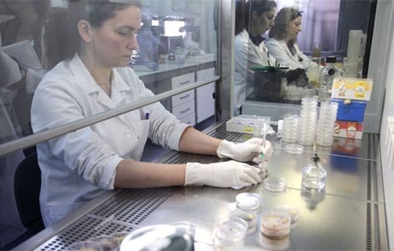cultivo_investigacion_ciencia