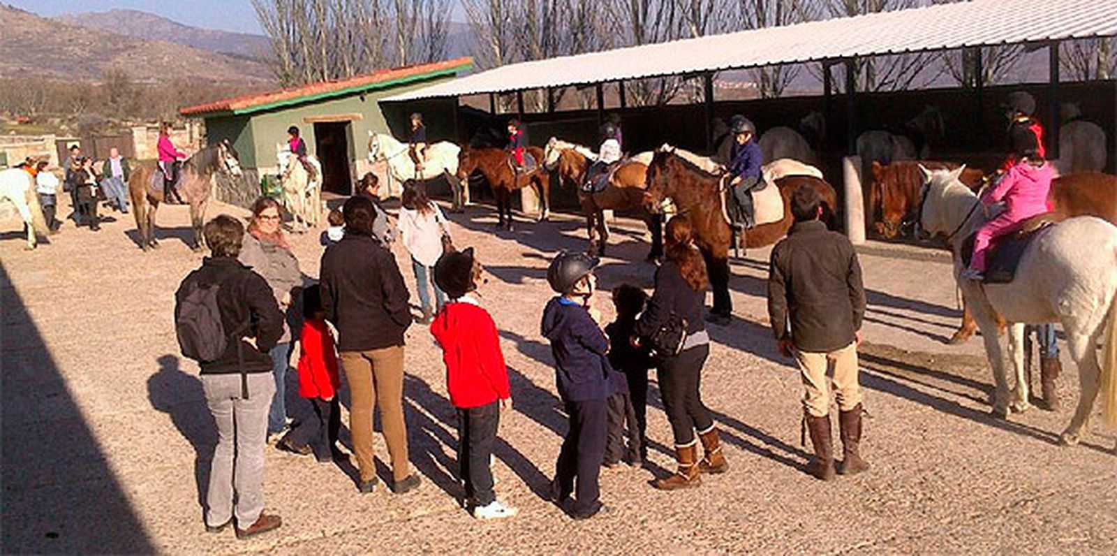 El Aula del Caballo, en Los Molinos, ofrece una entretenida actividad de contacto con la naturaleza