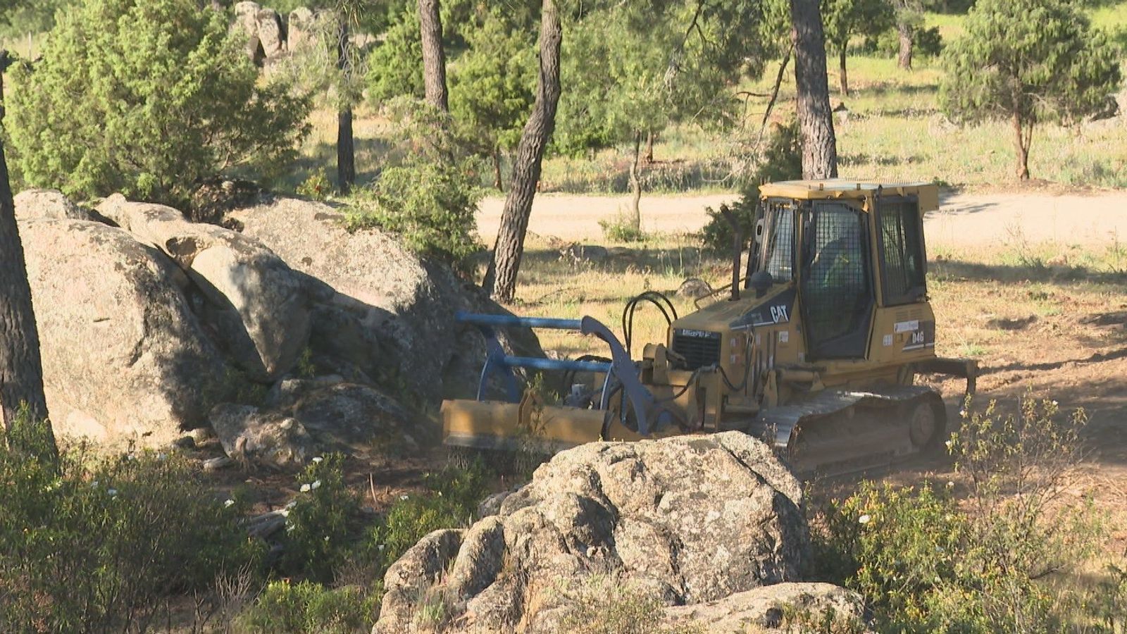 Desbroces y podas, así trabajan los bomberos de Madrid para prevenir incendios forestales
