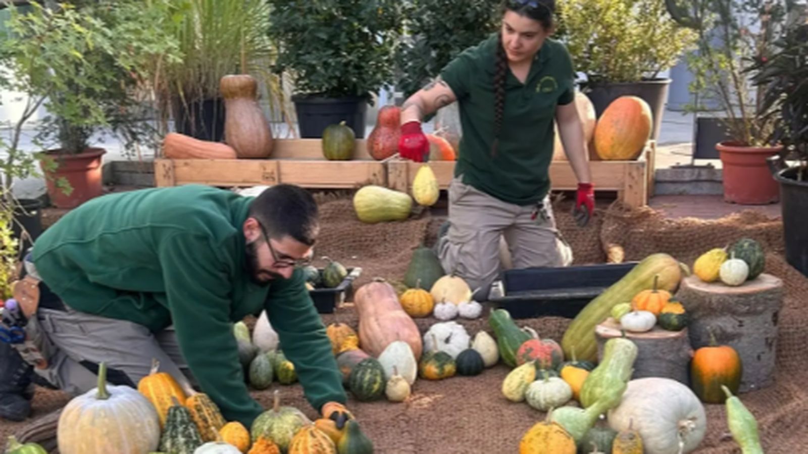 Exposición de calabazas en el Real Jardín Botánico de Madrid