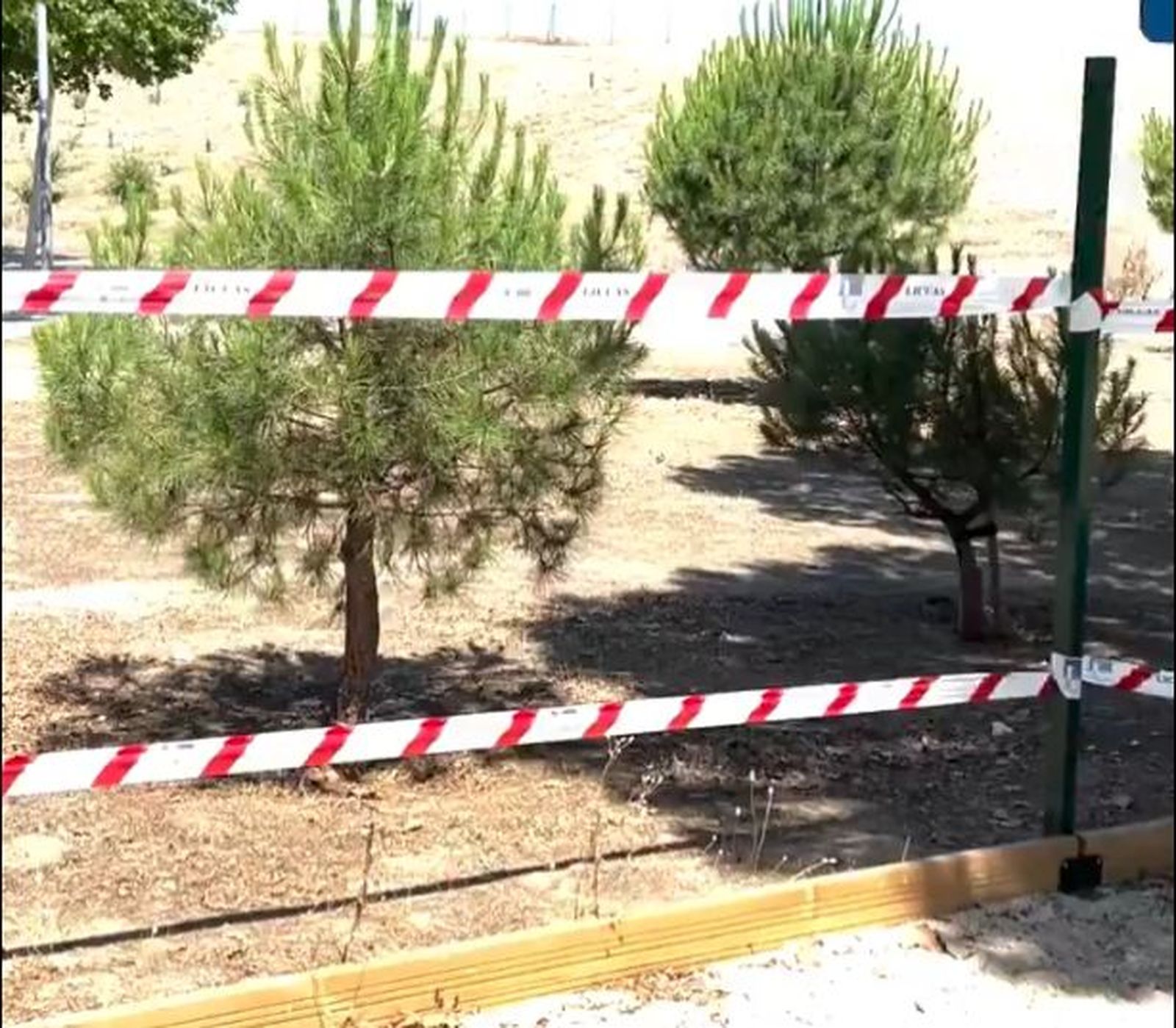 El área canina de Loranca (Fuenlabrada) sin las vallas