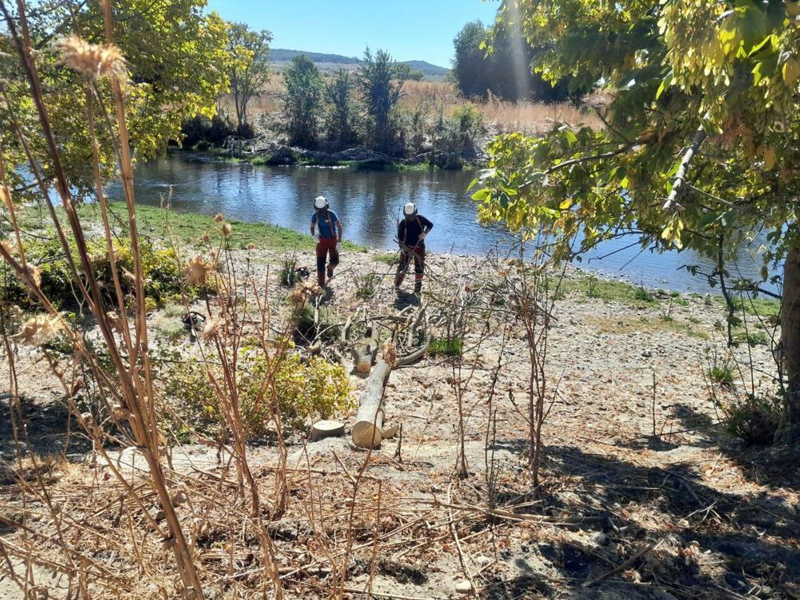 Trabajos de la Confederación del Tajo en el entorno del río Manzanares y el arroyo Culebro, en Getafe