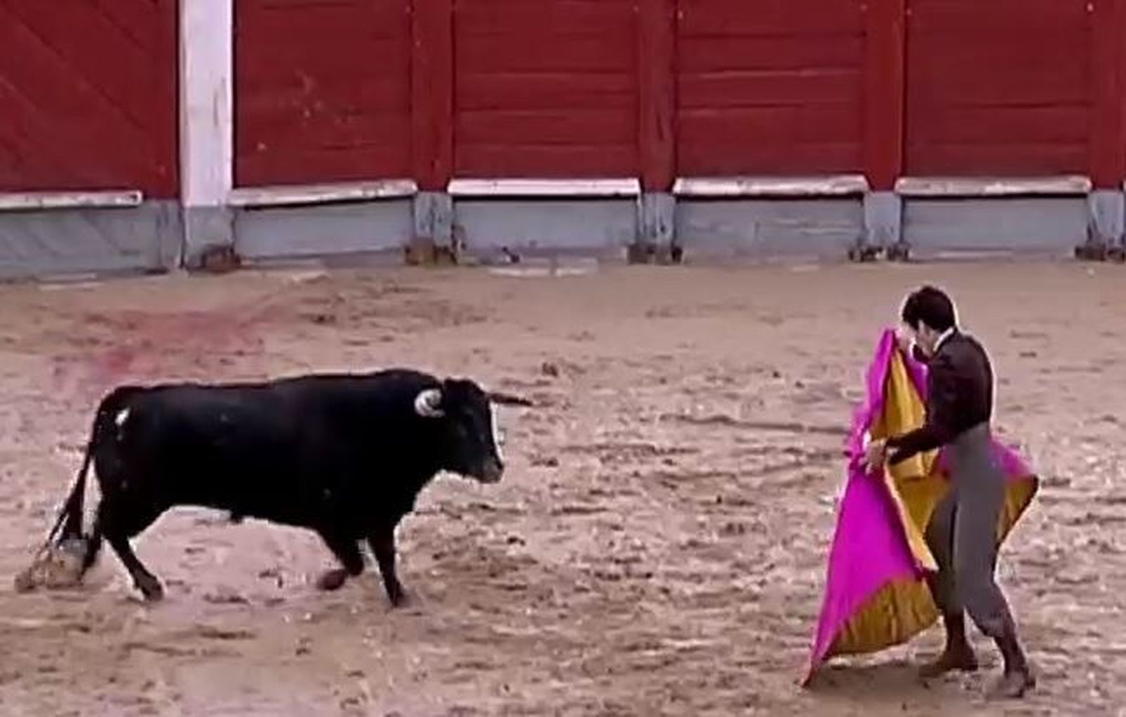 Chinchón cierra la temporada taurina de este 2019 (parte 2)