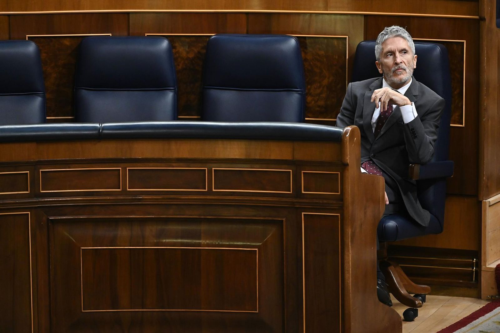 Marlaska en el pleno del Congreso