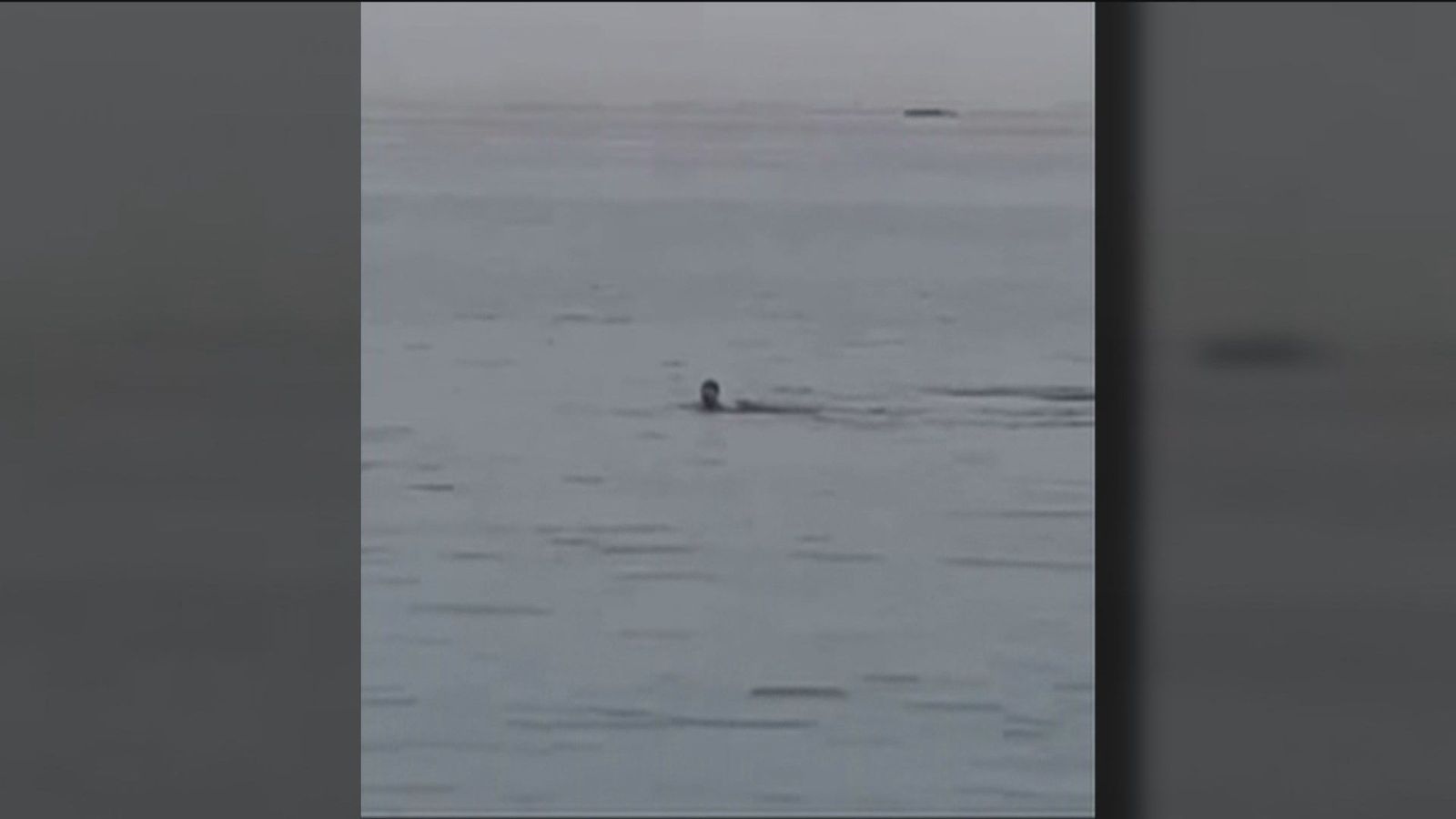 Las imágenes del ataque mortal de un tiburón a un bañista en Egipto